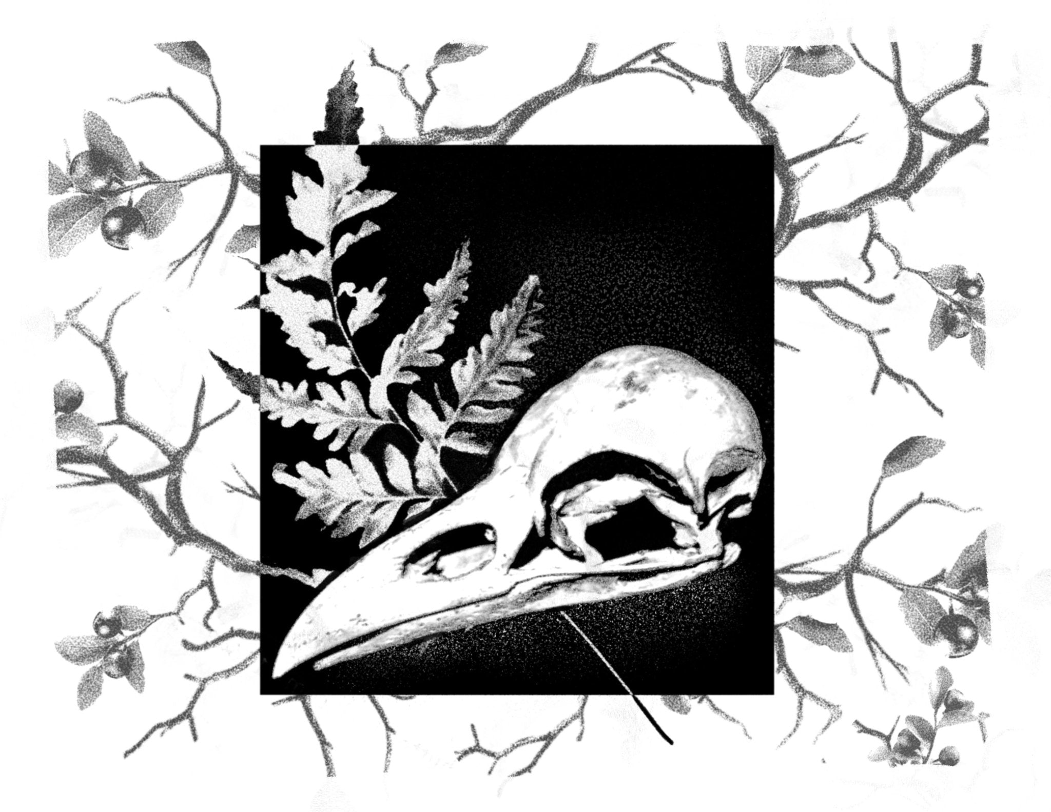 The Ink Balm No 34 Fern Skull - The Ink Balm