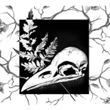 The Ink Balm No 34 Fern Skull - The Ink Balm